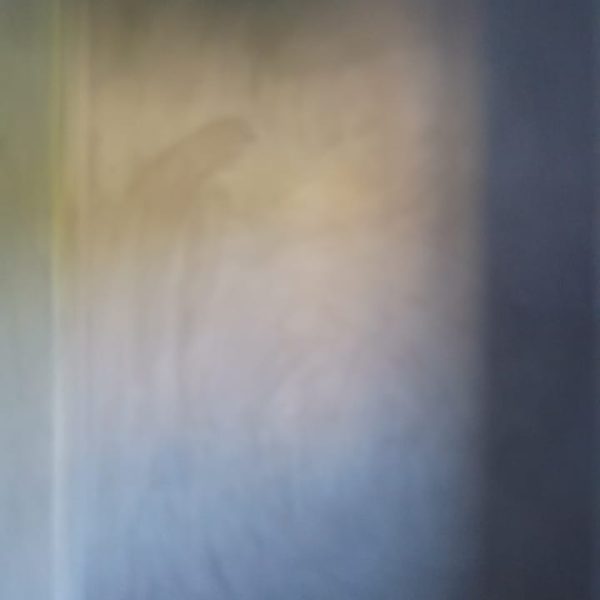 WhatsApp Image 2025-03-12 at 2.59.35 PM