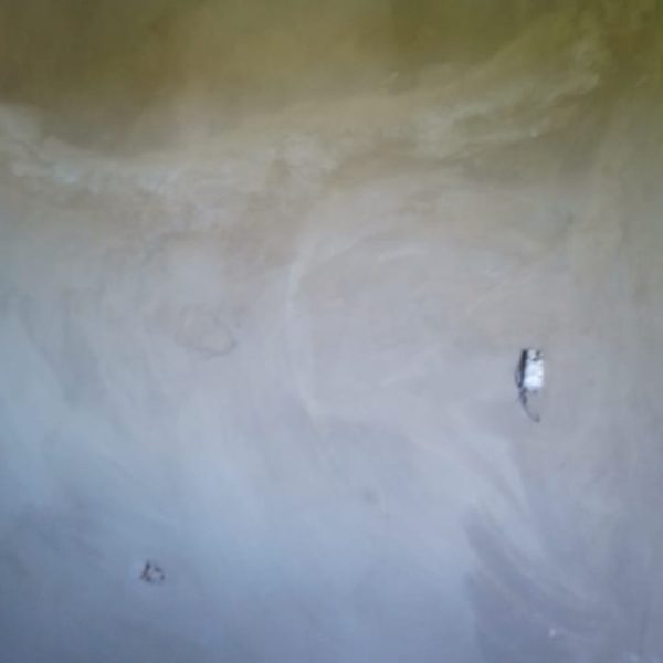 WhatsApp Image 2025-03-12 at 2.59.36 PM (4)